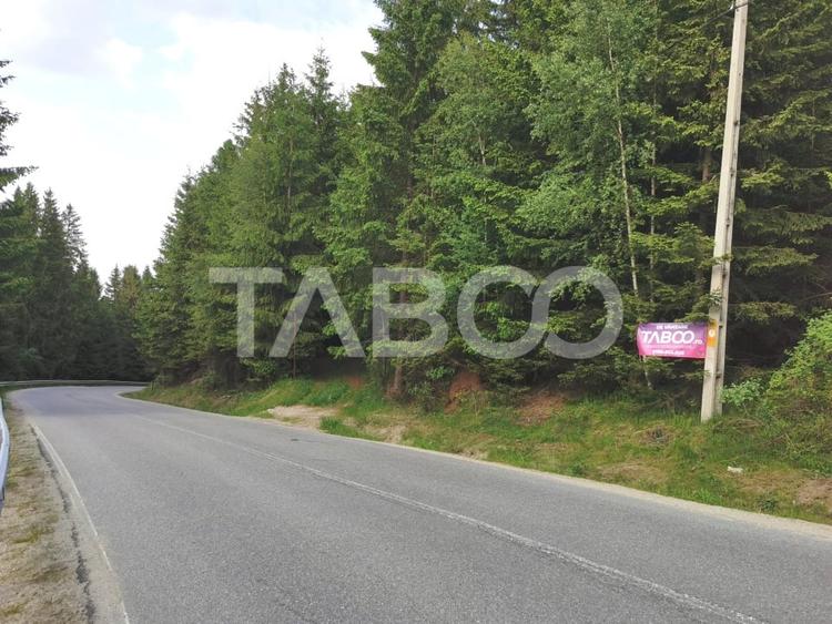 Teren cu puz intravilan in localitatea Paltinis din judetul Sibiu - 4