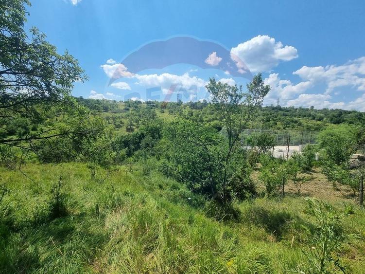 Teren intravilan 11.500 mp - Strada Cismari Valenii de Munte - 2