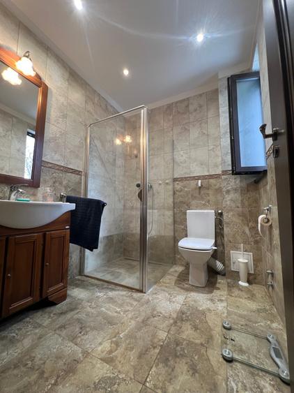 Dimitrie Leonida Metrou - 33