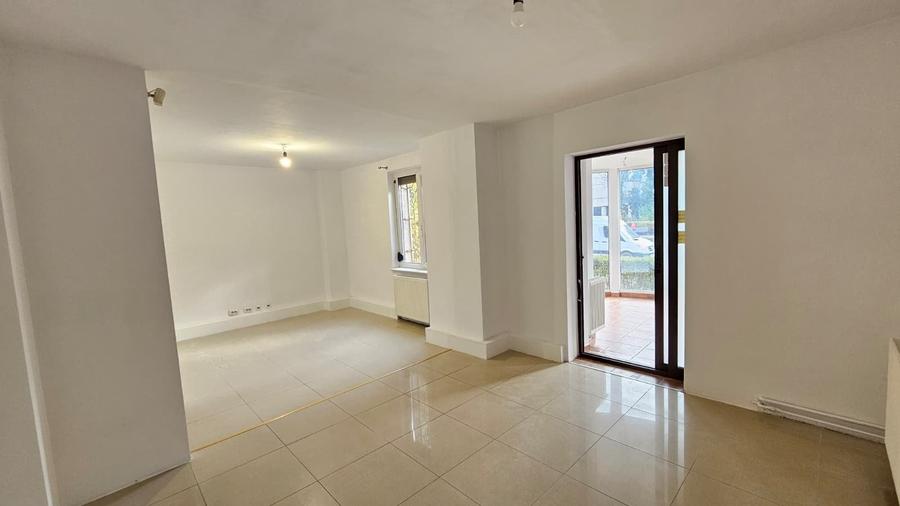 Spatiu comercial Centrul Civic -AFI ,acces stradal,1000 Euro - 9