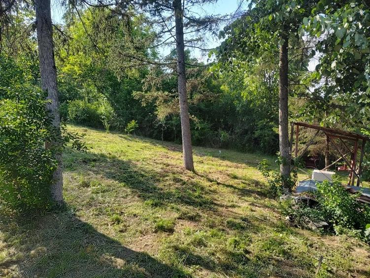 Casa batraneasca cu teren in sat Schitu Scoicesti, com Leordeni, Arge? - 6