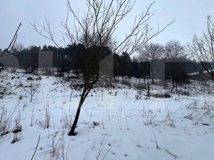 Exclusivist! Teren intravilan de 2800mp cu cascada in Micesti! - 7