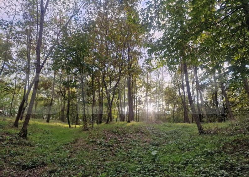 Teren intravilan 7.9 ha. Sandra - 27