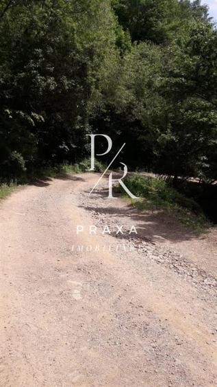 Teren de vanzare 10.000 mp/ parcelabil, cu utiitati, 4 euro/ mp! Maguri Racatau! - 9