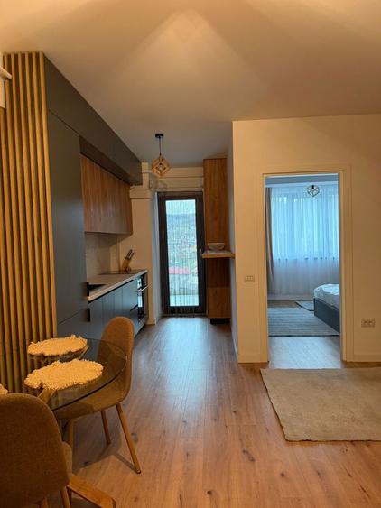 Studio de inchiriat- Residence Parc Zavoi - 6