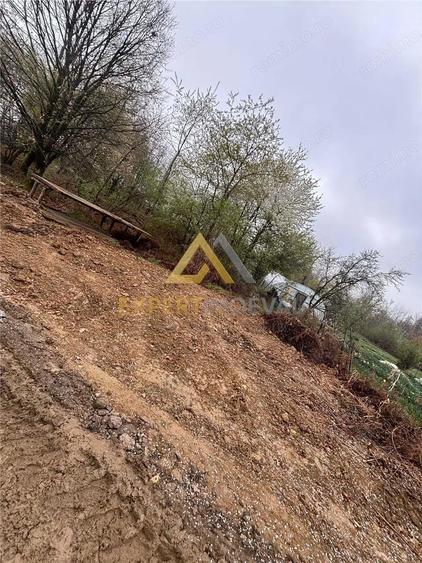 Teren intravilan in spate la Castel Transilvania 1.000mp - 2