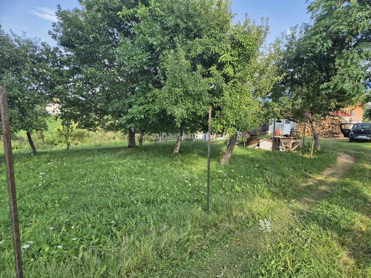 Intravilan Pestera, jud Brasov, comision 0%