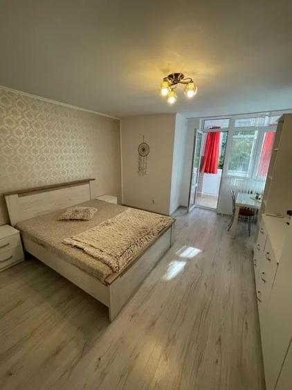 Apartament cu 1 camera, etajul 1, zona Podu de Piatra - 1