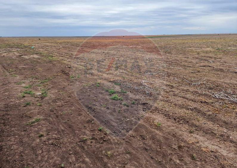 Teren 56,700mp Mischii / Strada Eroilor - 8