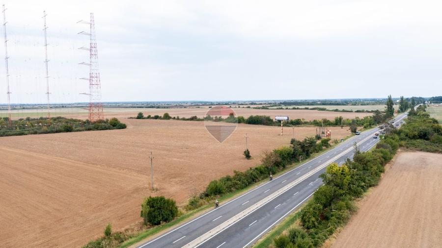 Teren Construcții intravilan de 10000 mp, în Ciolpani
