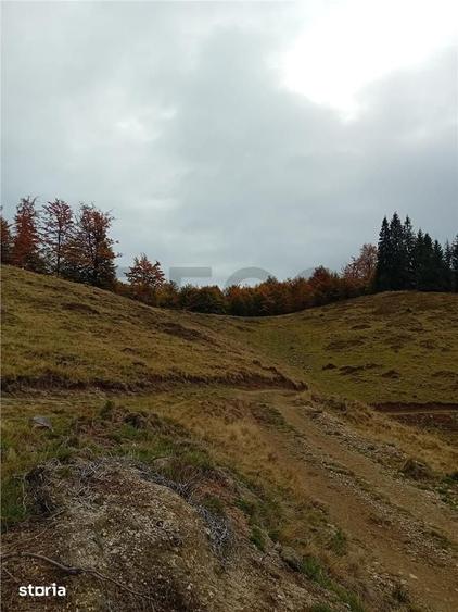 Teren de 2000 mp, în Curățele