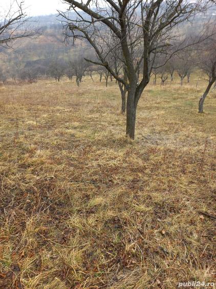 Casa si teren de vanzare Dumitresti - 2