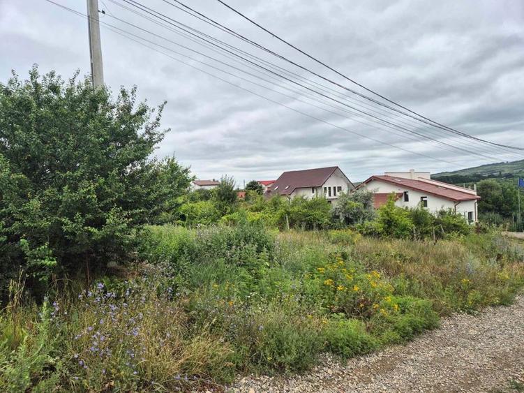 Vand Teren Visan Birnova intravilan - 6