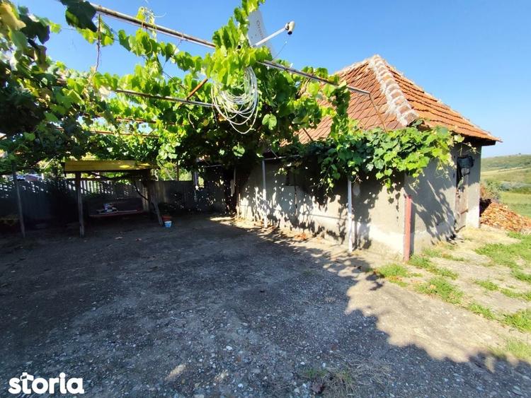 Casa la tara, Calea Mare, Bihor, teren mare, 2 intrari auto vanzare - 20