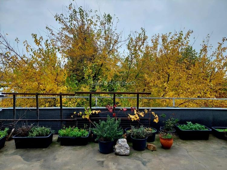 Apartament 3 camere cu terasa superba, Basarabia -Parcul National