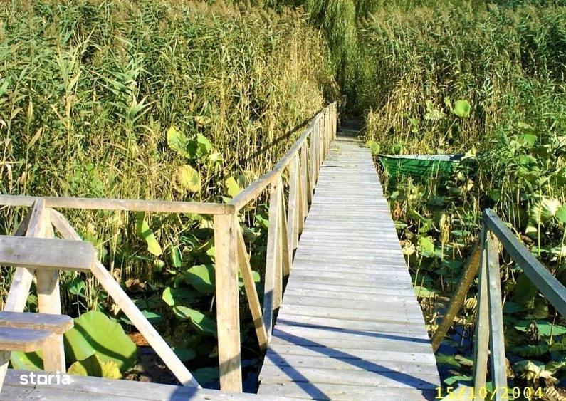 Casa Individuala Ponton / 6 Camere / Snagov - 6