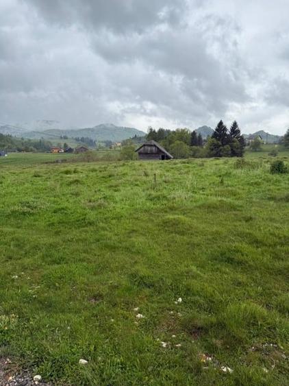 Teren extravilan de vânzare – 9.232 mp – Șirnea, Fundata, Brașov 🏞️ - 2