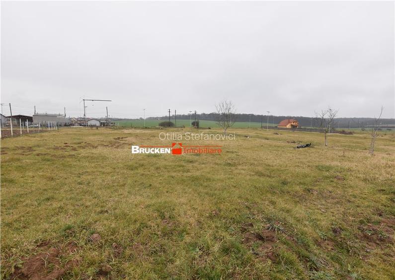 LOC DE CASA IN MARGHITA | 600 MP LOC DE CASA IN MARGHITA | 600 MP