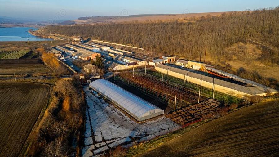 Fosta Ferma a Partidului de la Horgesti - de vanzare - 2