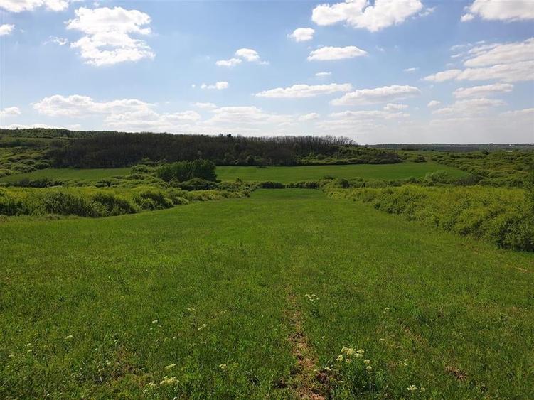 Teren extravilan Uileacu de Munte. - 3