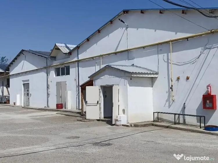 Inchiriez complex comercial in Husi, Jud. Vaslui ID:RH-44580-property - 10