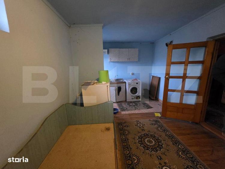 Casa cu teren generos si balta de pescuit Gaesti - 18
