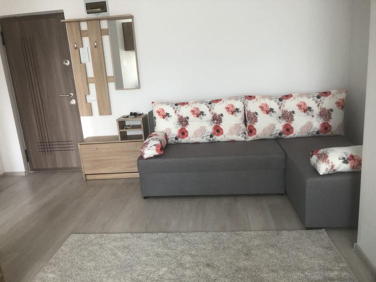 Apartament cu 2 camere, etajul 3/8, zona Gara-Arcu - 6