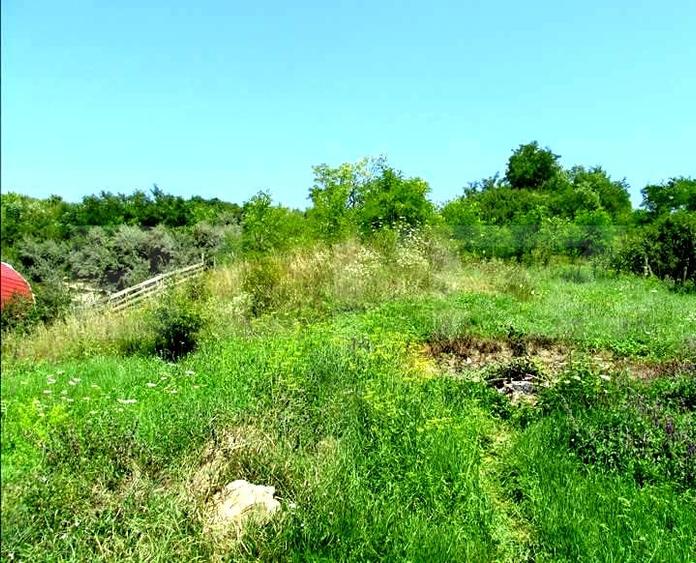 Teren Construcții extravilan de 15554 mp, în Iris