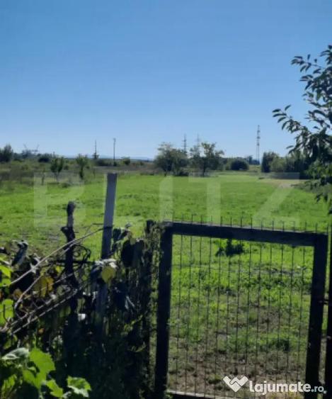 Casă cu 4 camere cu Teren 1900 Mp în Periferie