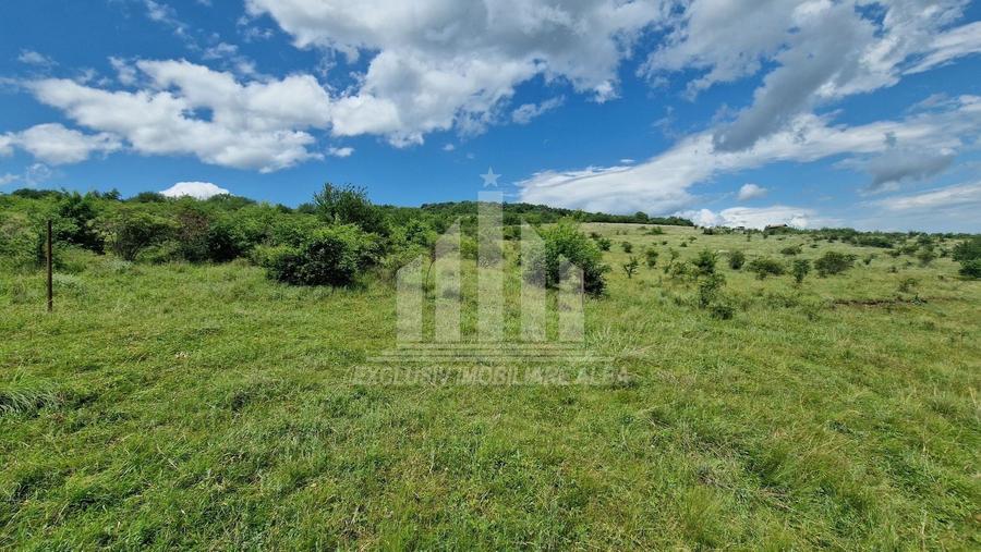 Teren agricol extravilan de 1400 mp, în Pâclișa