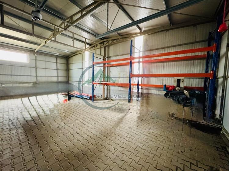 Hala Sanpetru, 220mp, poarta acces auto/tir - 3