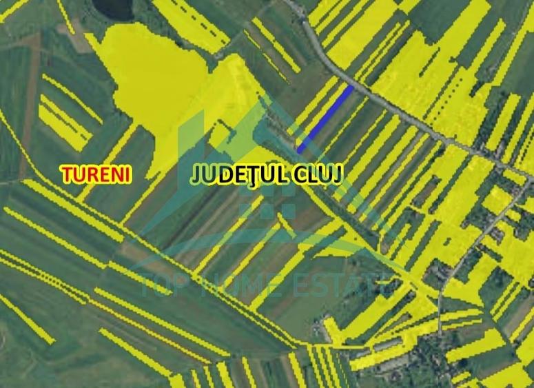 Exclusivitate! De vanzare teren extravilan in Tureni! - 4