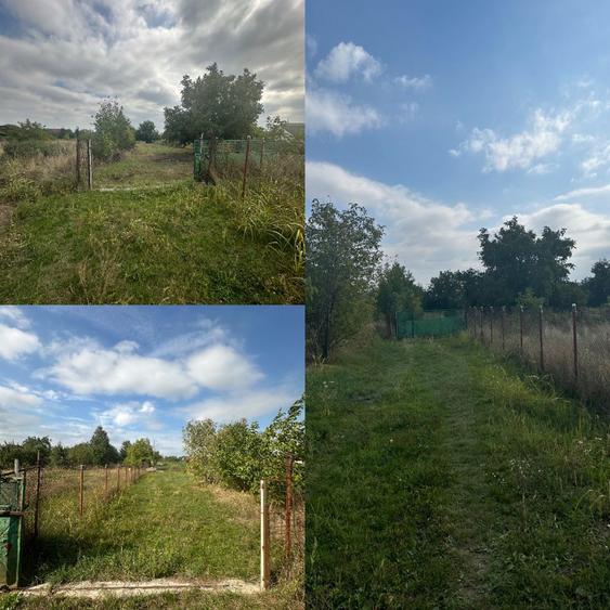 Teren intravilan de vanzare - 1655mp - Aroneanu - Iasi - 2