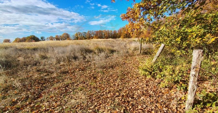 Teren Arges - Mosoaia - 8