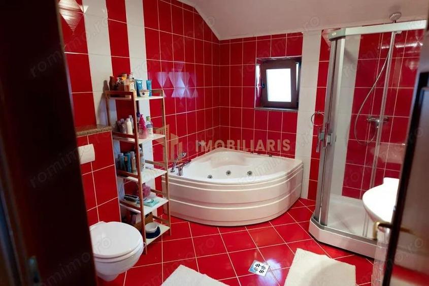 Casa individuala zona Branduselor - 11