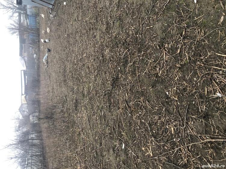 Inchiriez teren intravilan - 3