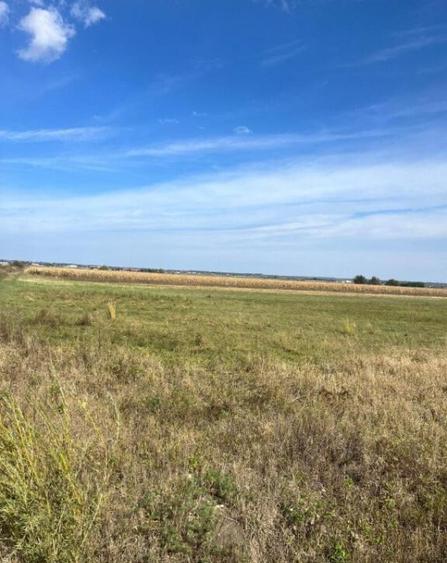 Teren extravilan, 2480 mp, Radauti - 2