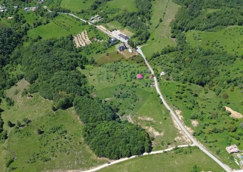 Teren intravilan de vanzare 12,700mp Codru Butesii / Stra... - 4