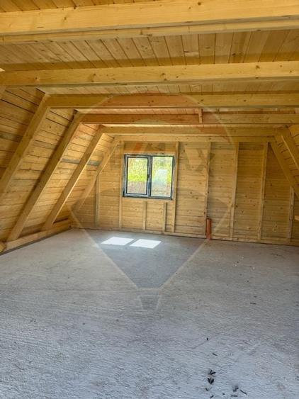 Casă de vacanță + 17.490 mp teren – zonă turistică Transapuseana - 4