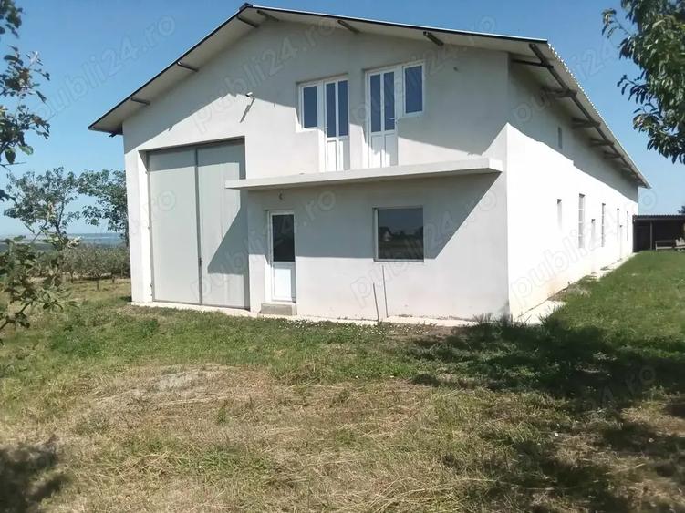 Vand hala industriala - 7