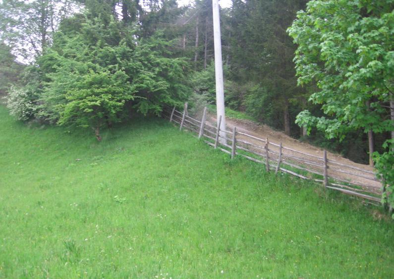 Teren intravilan Valea Doftanei - 10