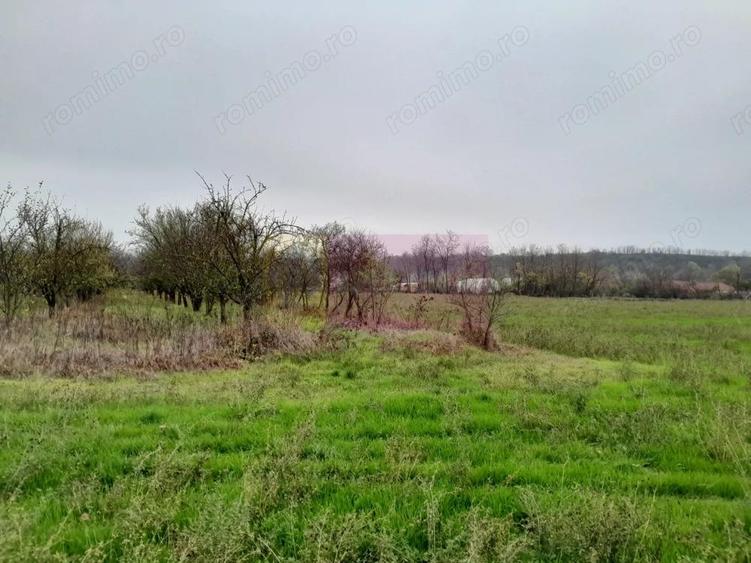 BARCANESTI - casa +curte+teren 16k mp - 20