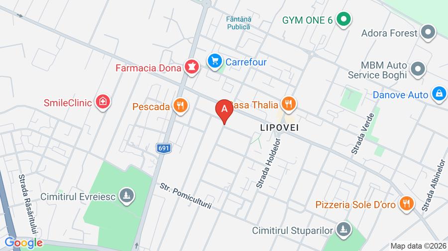 Lipovei - la casa - 1