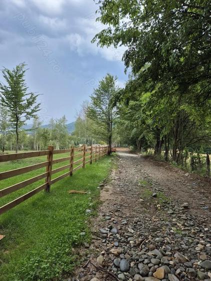 Teren extravilan 13.800 mp Ra?nov, Glajarie priveli?te superba, oportunitate de investi?ie - 9