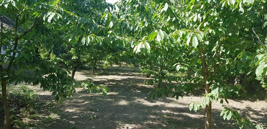 Casa de vanzare in Mihai Viteazu - 2