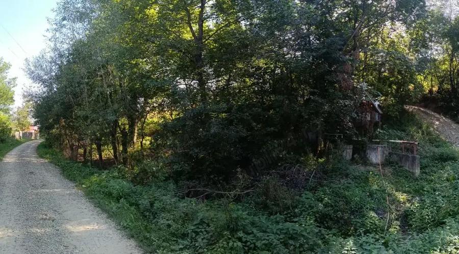 Casa de vanzare ideala pentru cei care cauta liniste, aer curat si confort rural - 9