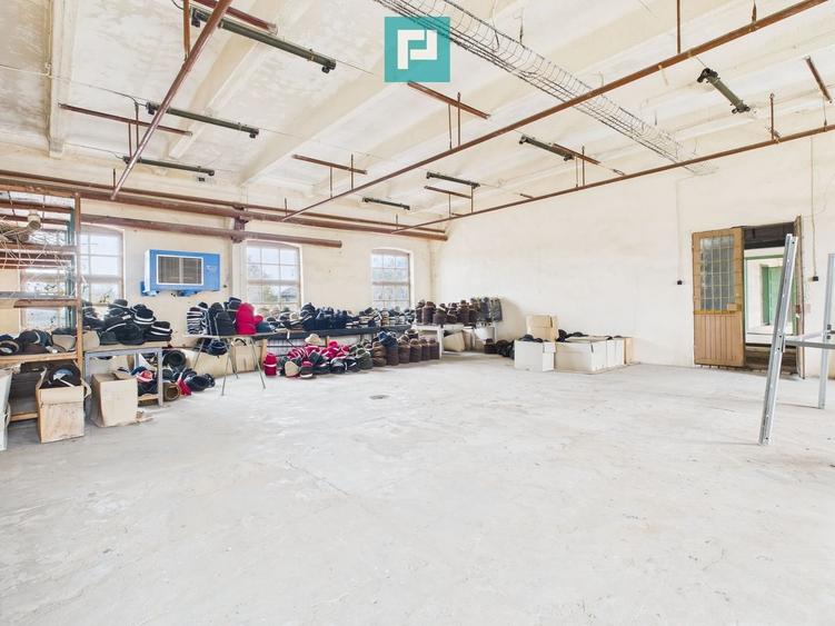 Spațiu versatil  250 mp de investiții în Periam - 1