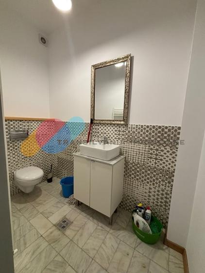 Apartament/Spatiu birou 160 Mp, zona Parcul Central - str. Cosbuc - 12