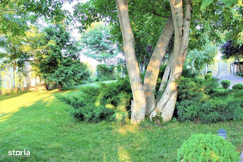 Buftea teren pe colt cu dubla deschidere 500 mp AConstruire P+E - 5