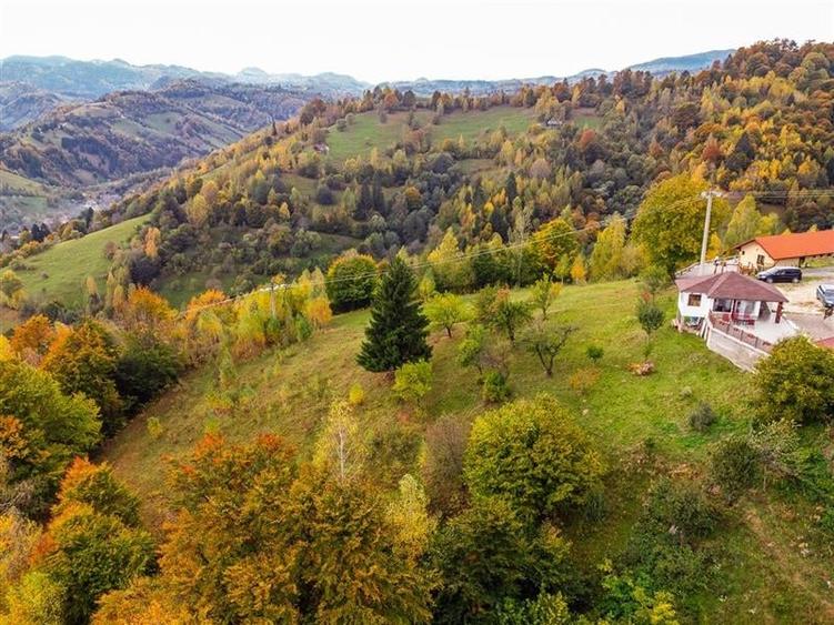 Film! Teren in peisaj mirific, Parcul Natural Piatra Craiului, Moieciu, Magura, - 10